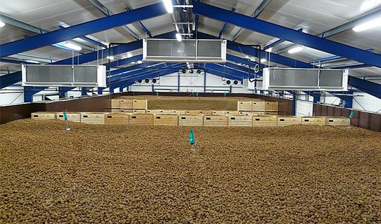 Standard Post with Gallery