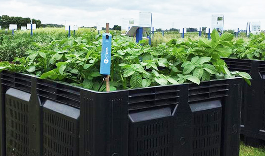 Standard Post with Gallery