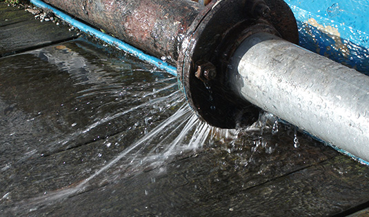 Standard Post with Gallery